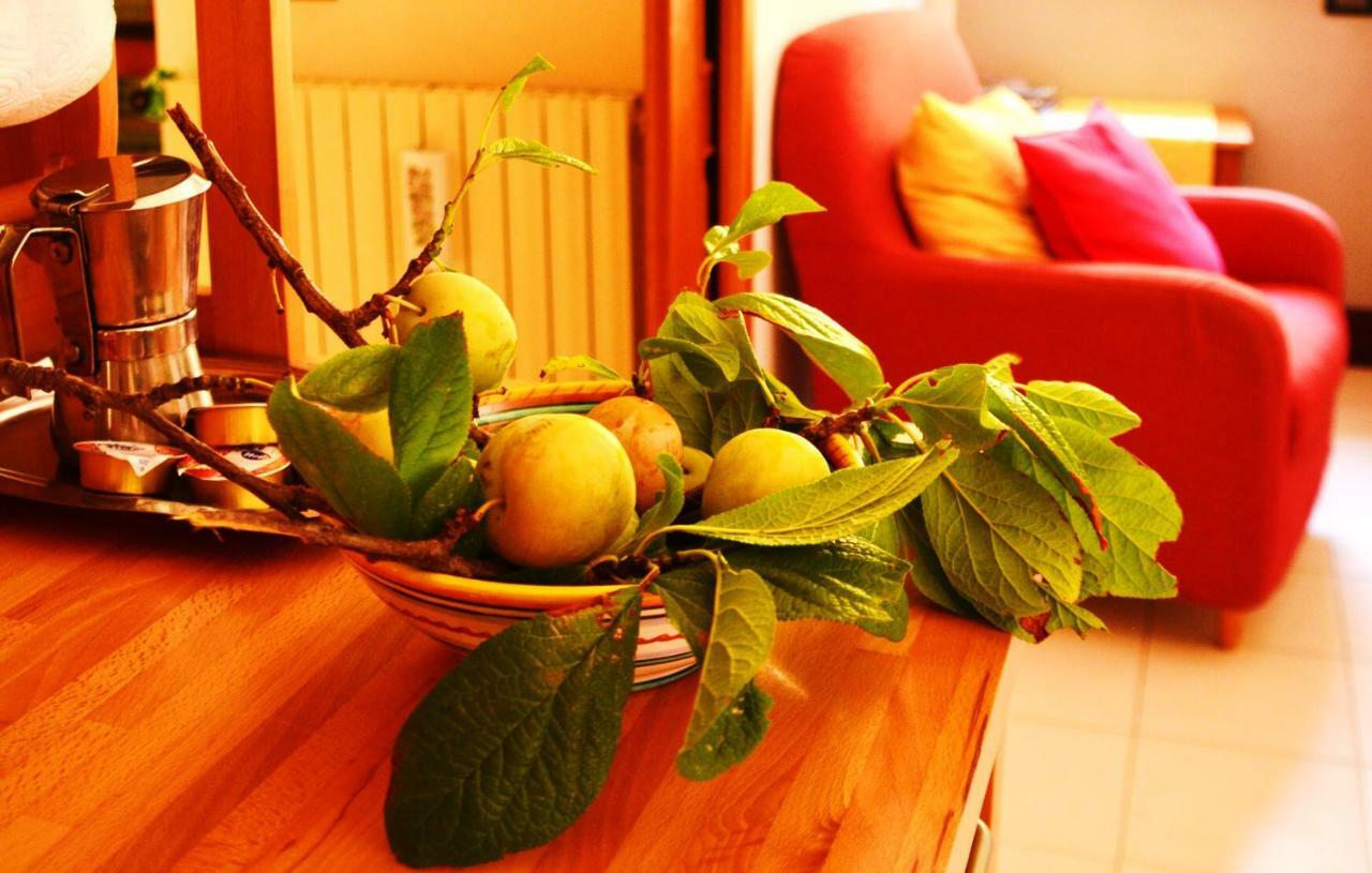 B&B Albachiara Casa Di Campagna Ogliastro Cilento Zewnętrze zdjęcie